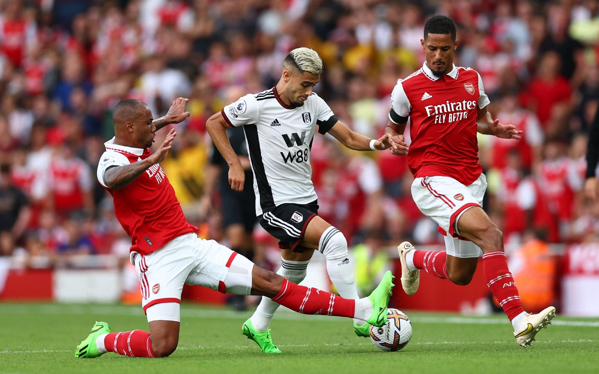 但她的影响 但她的影响